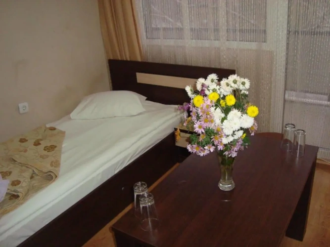 Standard Double room with balcony and with view