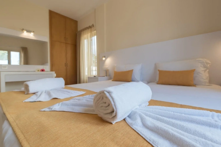 1 Bedroom Standard Apartment