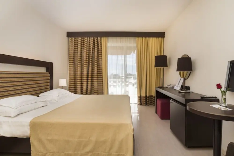 Premium Double room with balcony and with pool view