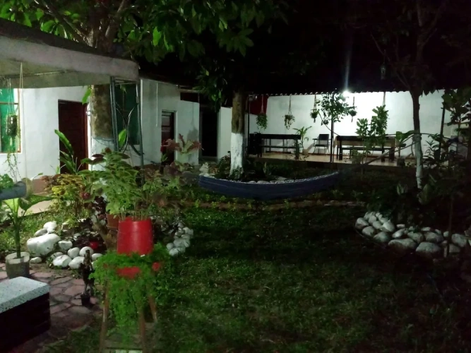 Bed in Dorm with garden view