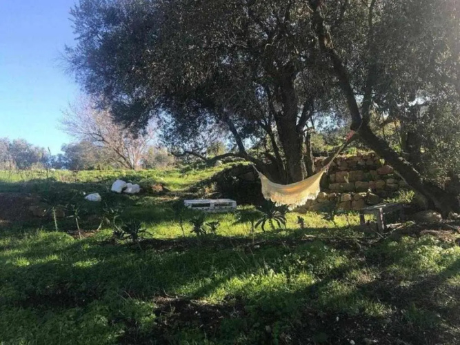 Biovilla Sustentabilidade
