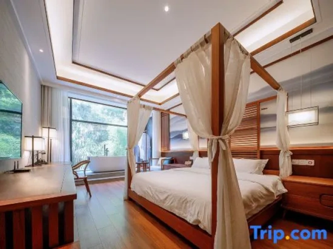 Luxury Double room with balcony