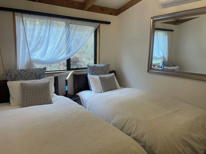 Economy Twin room with garden view
