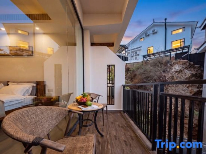 Standard Double room with balcony and with courtyard view