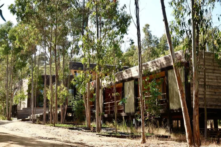 Tripanko Lodge & Bungalows