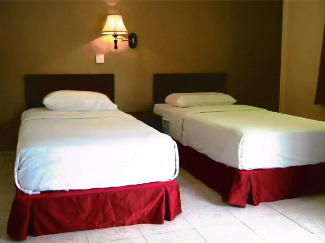 Deluxe Twin room with balcony and with view