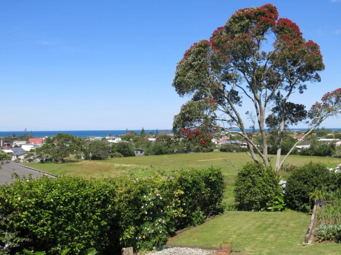 Basement Apartment with view