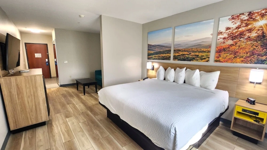 Twin Studio Suite
