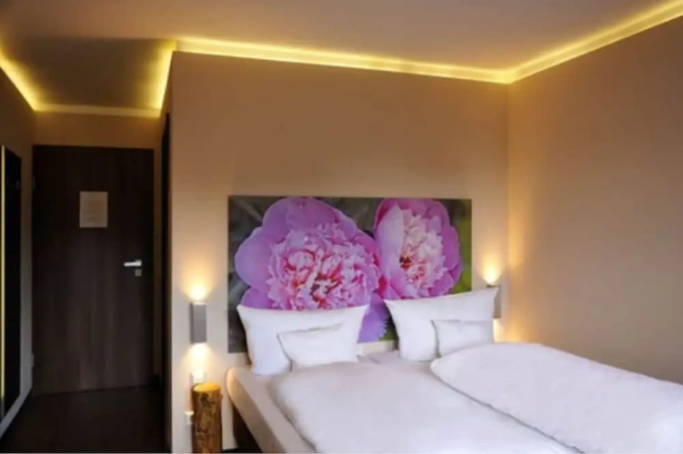 1 Bedroom Standard Double room