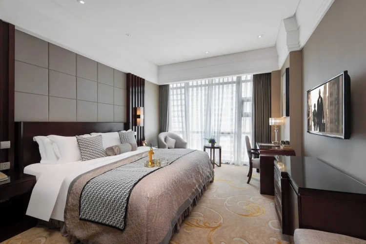 Comfort Single room