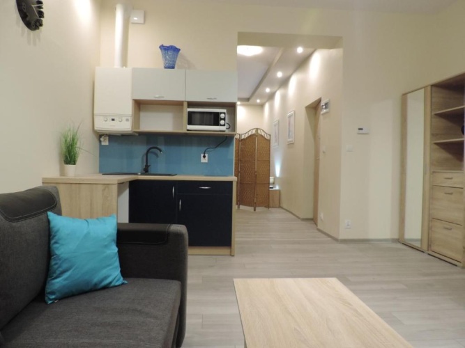 Superior Apartment