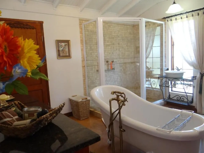 Deluxe Double room with balcony and with view