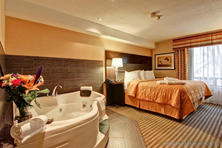Comfort Inn East