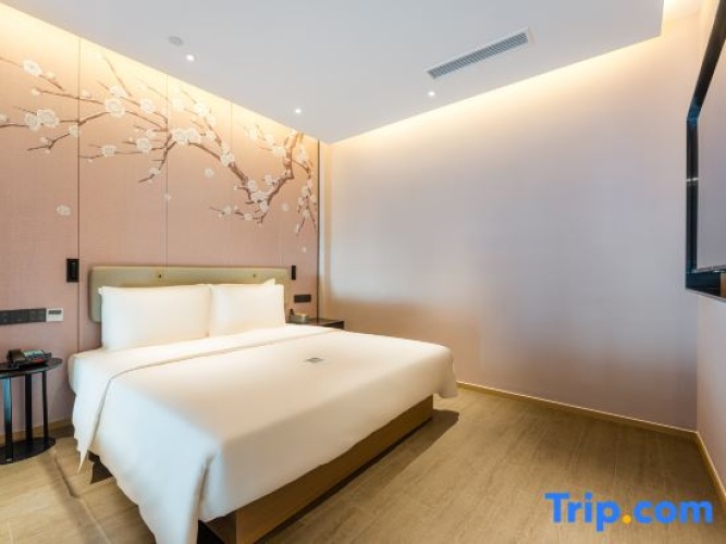 Duplex Suite