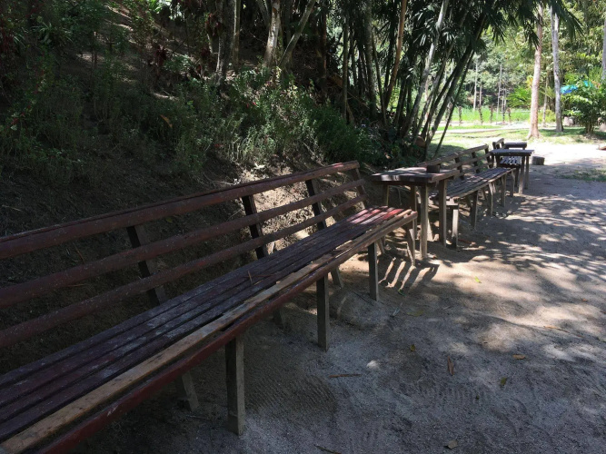 Rain Forest Inn