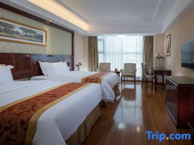 Superior Double room with street view