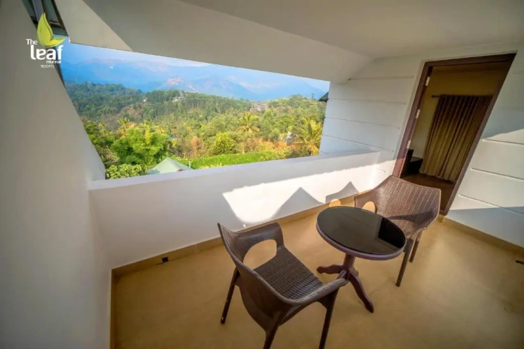 Standard Double room with view