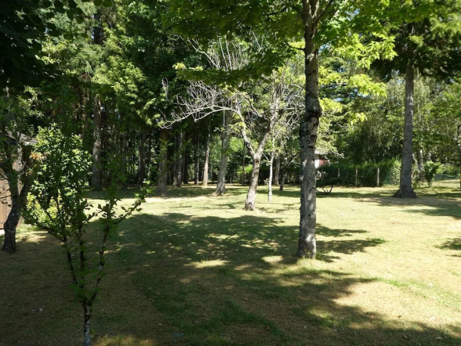 Gite Les Conifères