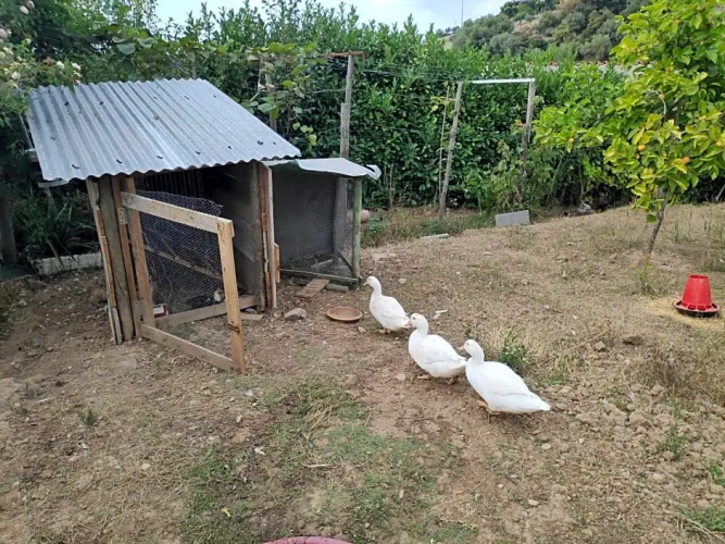Nature Et Al House