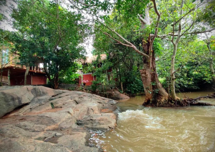 Sigiriya River Side Villa