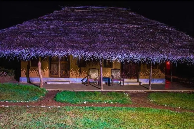 Green Ayurvedic Resort