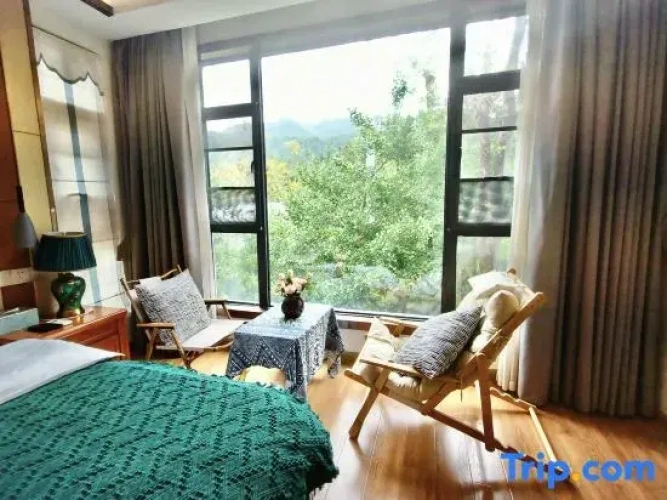 Standard Double room with view