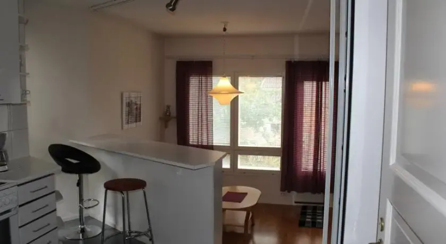 Apartment Lumikontupa