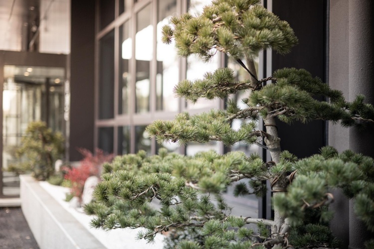 Outside