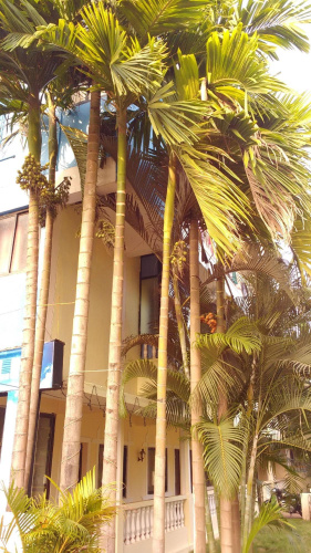 Morjim Bay Holiday Apartment