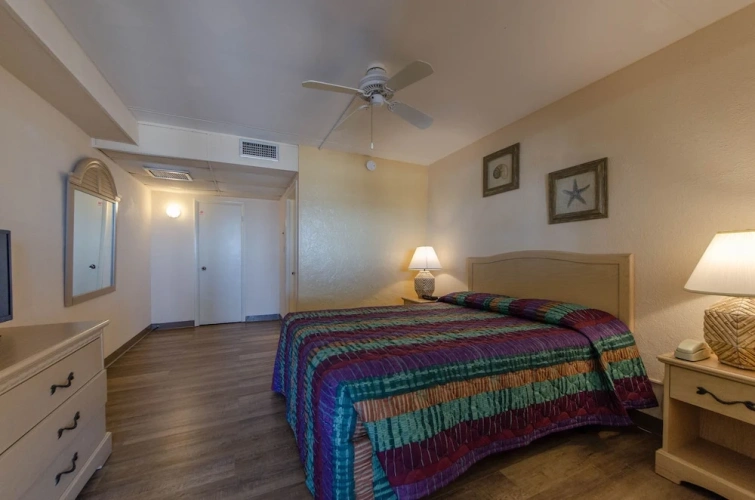 1 Bedroom Suite with view