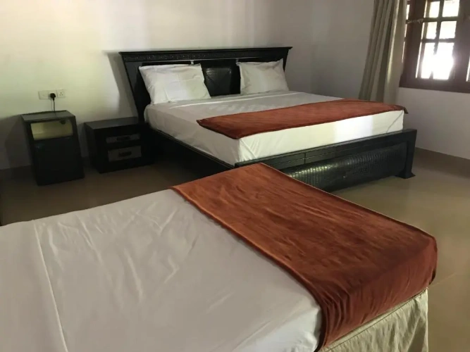 Deluxe Twin room with view