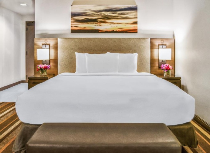 Premier Double Guest room