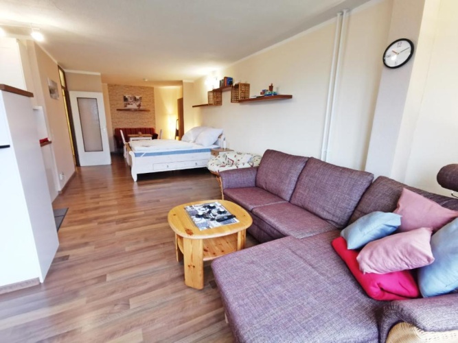 1 Bedroom Apartment