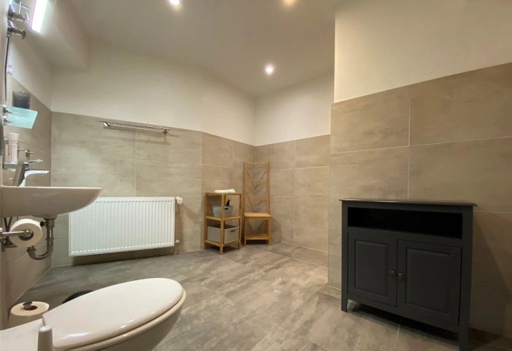 1 Bedroom Apartment with city view