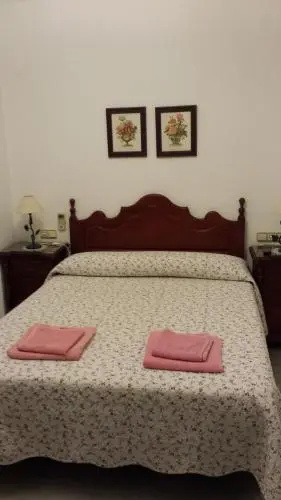 Vivienda VFT San Benito