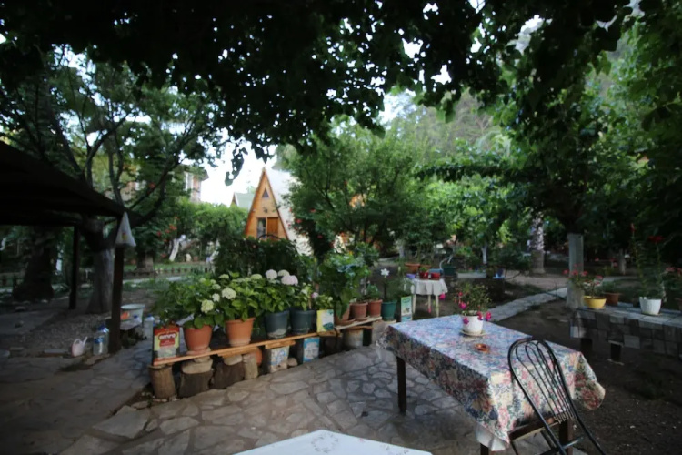 Oran Pansiyon Agac Evler
