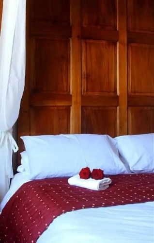 Standard Double room with garden view