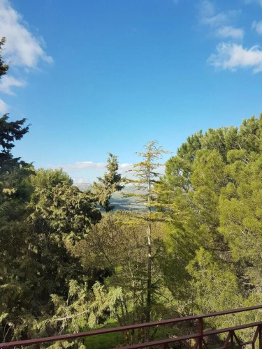 Al Bosco Ficuzza