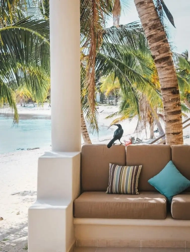 Standard Double room beachfront
