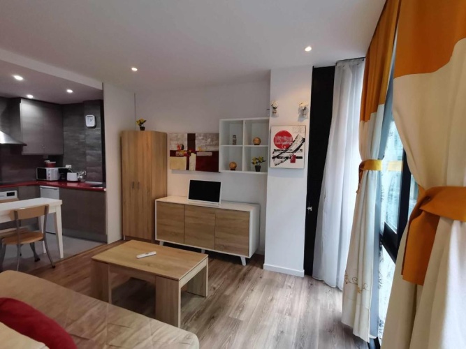 1 Bedroom Apartment