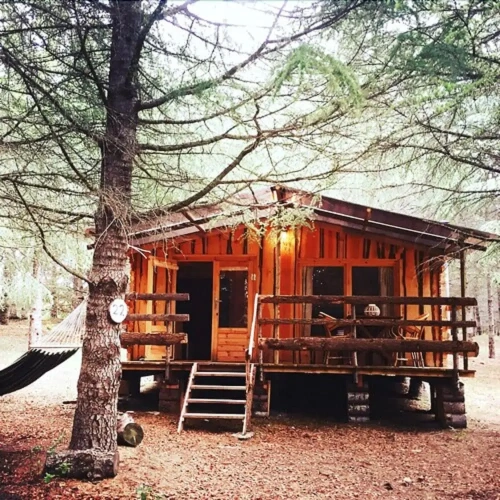 Comfort room