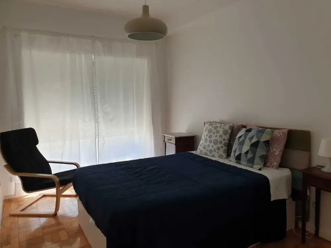 Pet Friendly Apartment