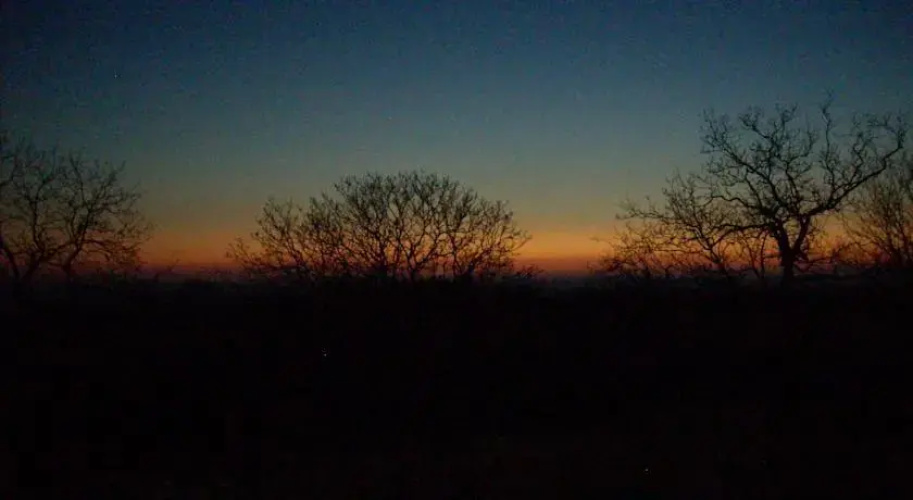 Le Ré de Sol