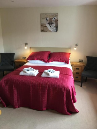 Standard Double room with view