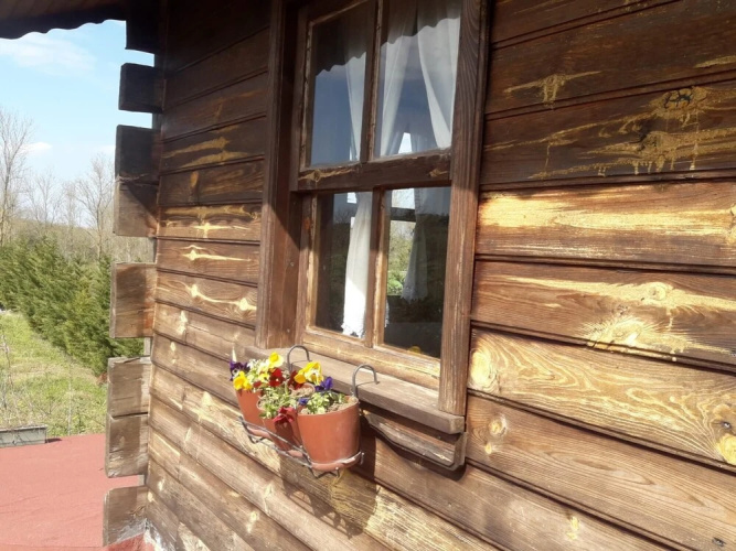 House With Backyard and Winter Garden in Agva