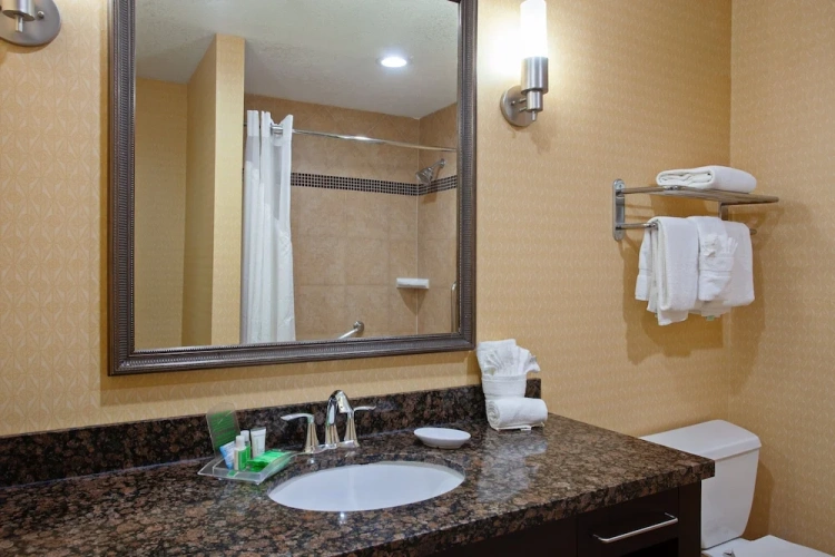 1 Bedroom Suite