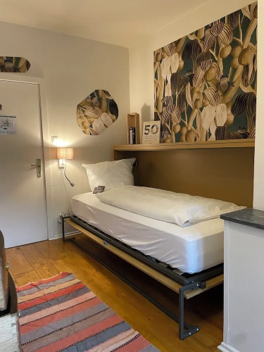 Economy Single room with lake view