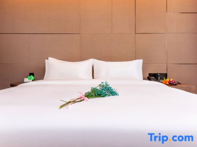 Deluxe Double room with city view