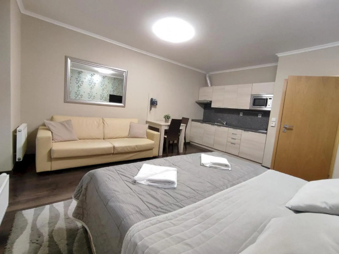 Útulné studio s balkónem