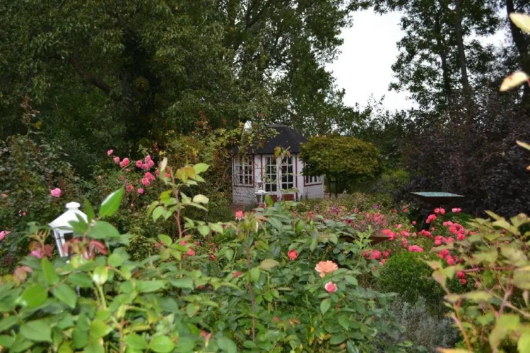 Rosenkate